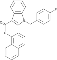 FUB-PB-22